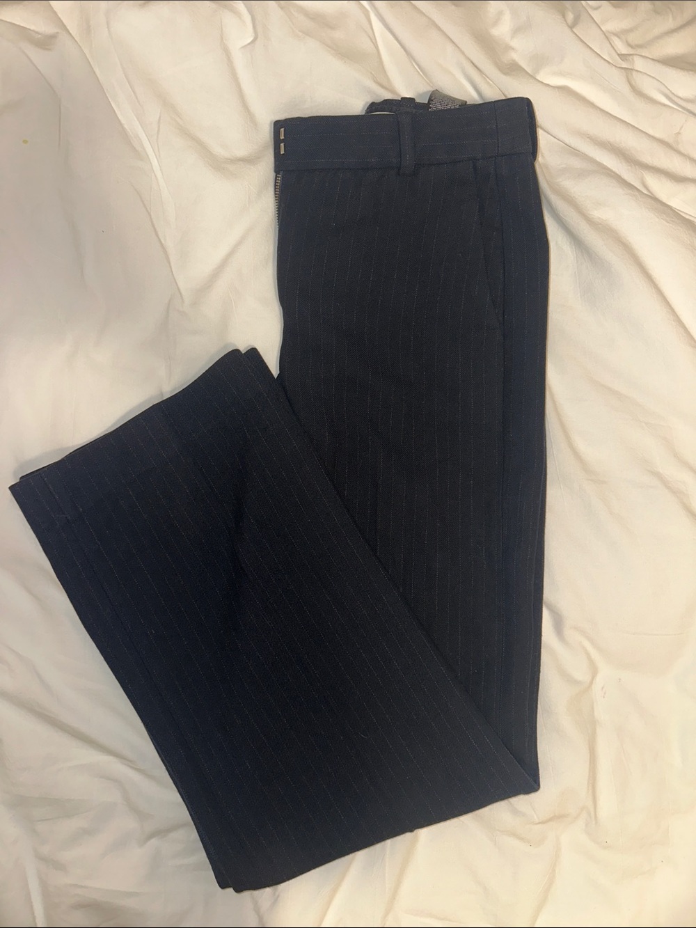 Aritzia Babaton Dress Pants